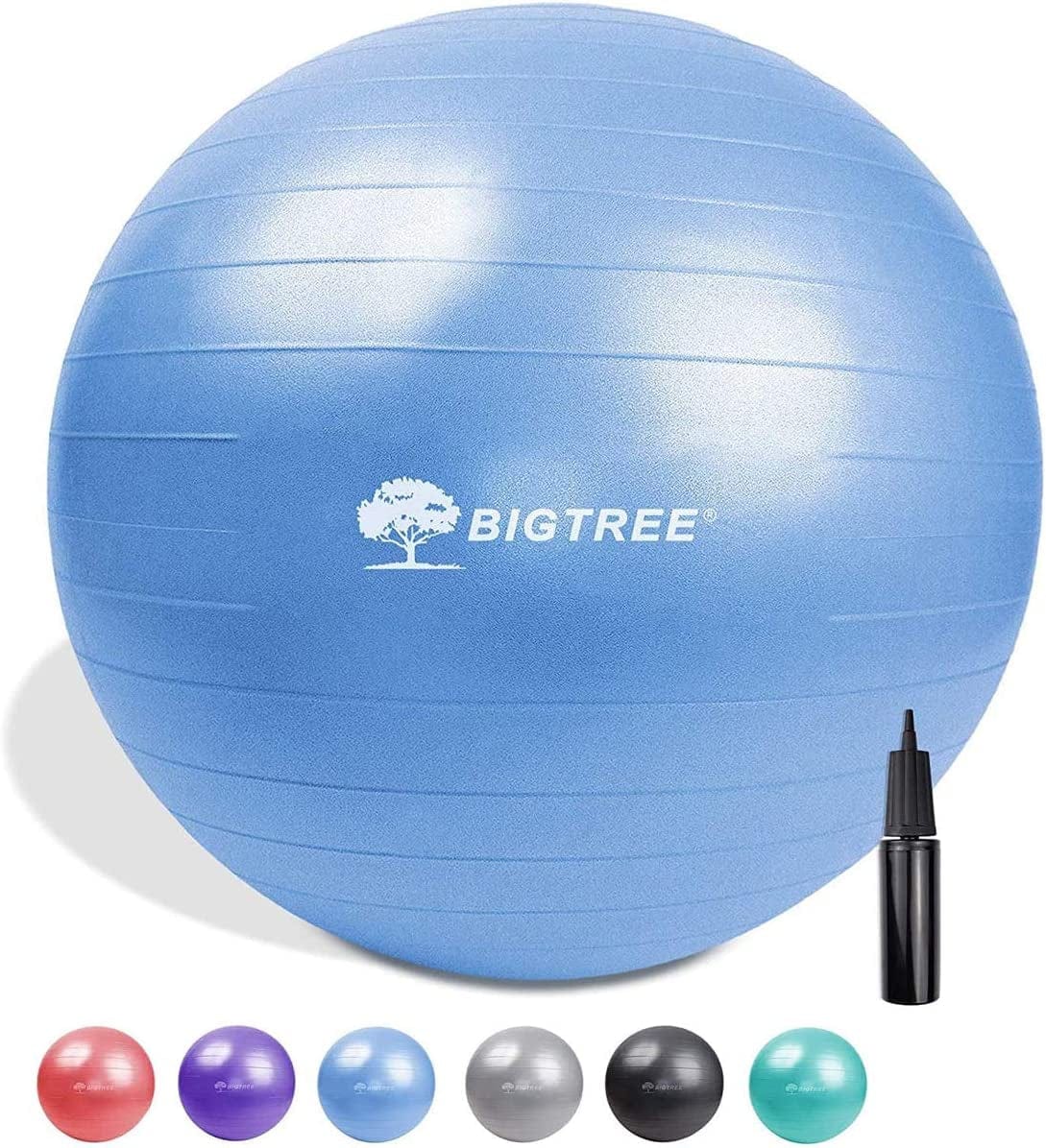 BIG.TREE Pilates Exercise Ball Anti-Burst Fitness Ball, Yoga Balance Ball for Workout, Birthing, Stability Gym Office Training and Physical Therapy(55Cm-75Cm)