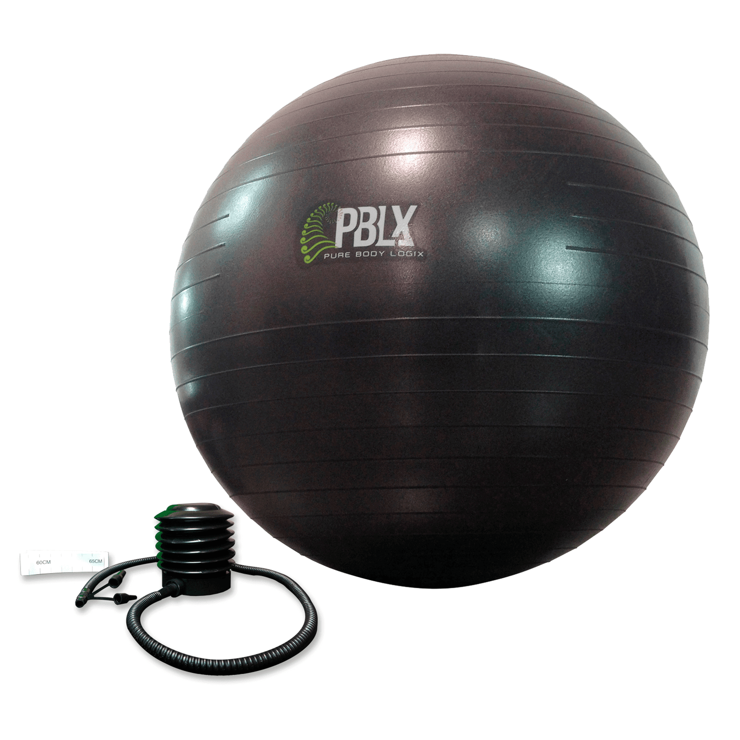 PBLX Exerflex Fitness Ball by Jupiter Gear