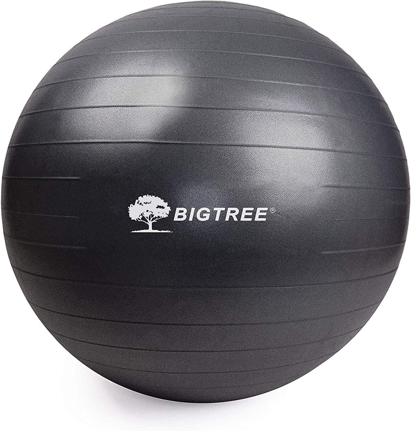 BIG.TREE Pilates Exercise Ball Anti-Burst Fitness Ball, Yoga Balance Ball for Workout, Birthing, Stability Gym Office Training and Physical Therapy(55Cm-75Cm)