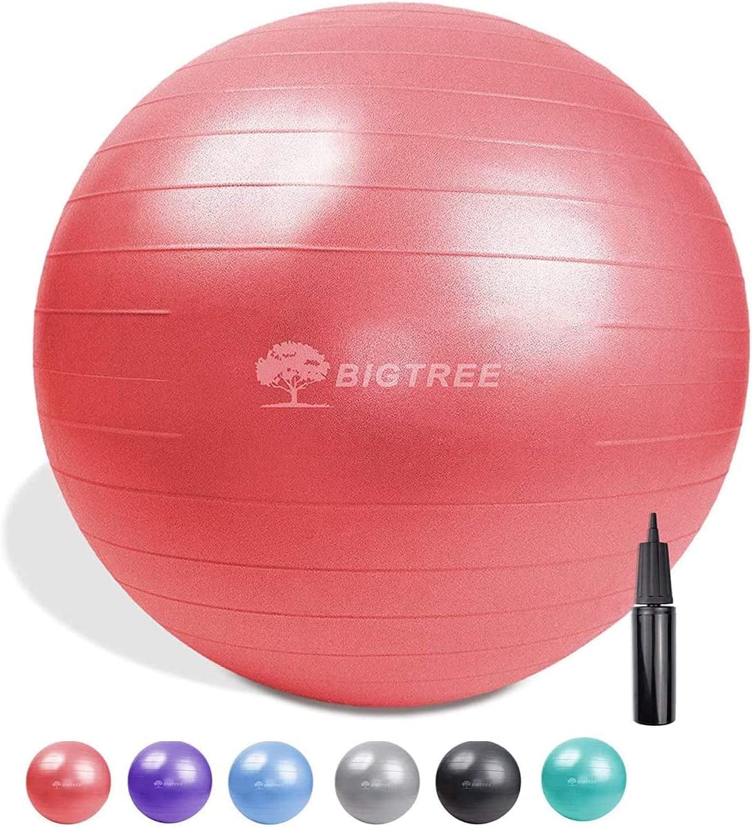 BIG.TREE Pilates Exercise Ball Anti-Burst Fitness Ball, Yoga Balance Ball for Workout, Birthing, Stability Gym Office Training and Physical Therapy(55Cm-75Cm)