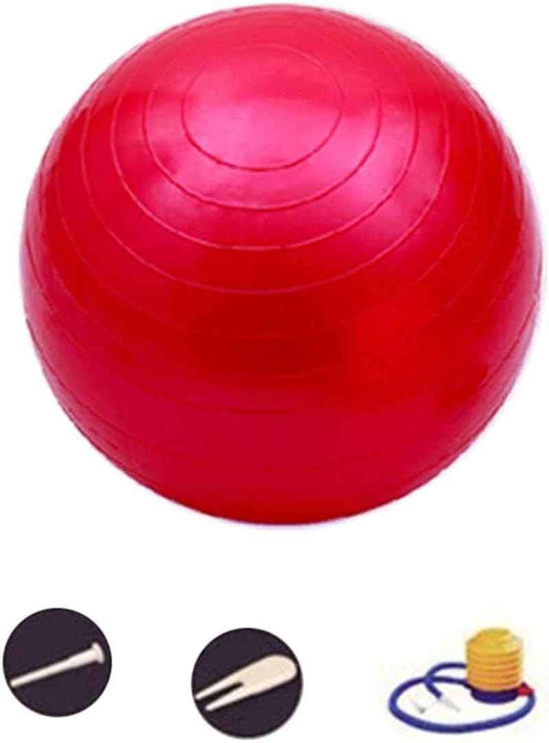 DAZISEN Exercise Ball - Anti-Burst Yoga Pilates Ball (45 to 95 Cm) for Unisex