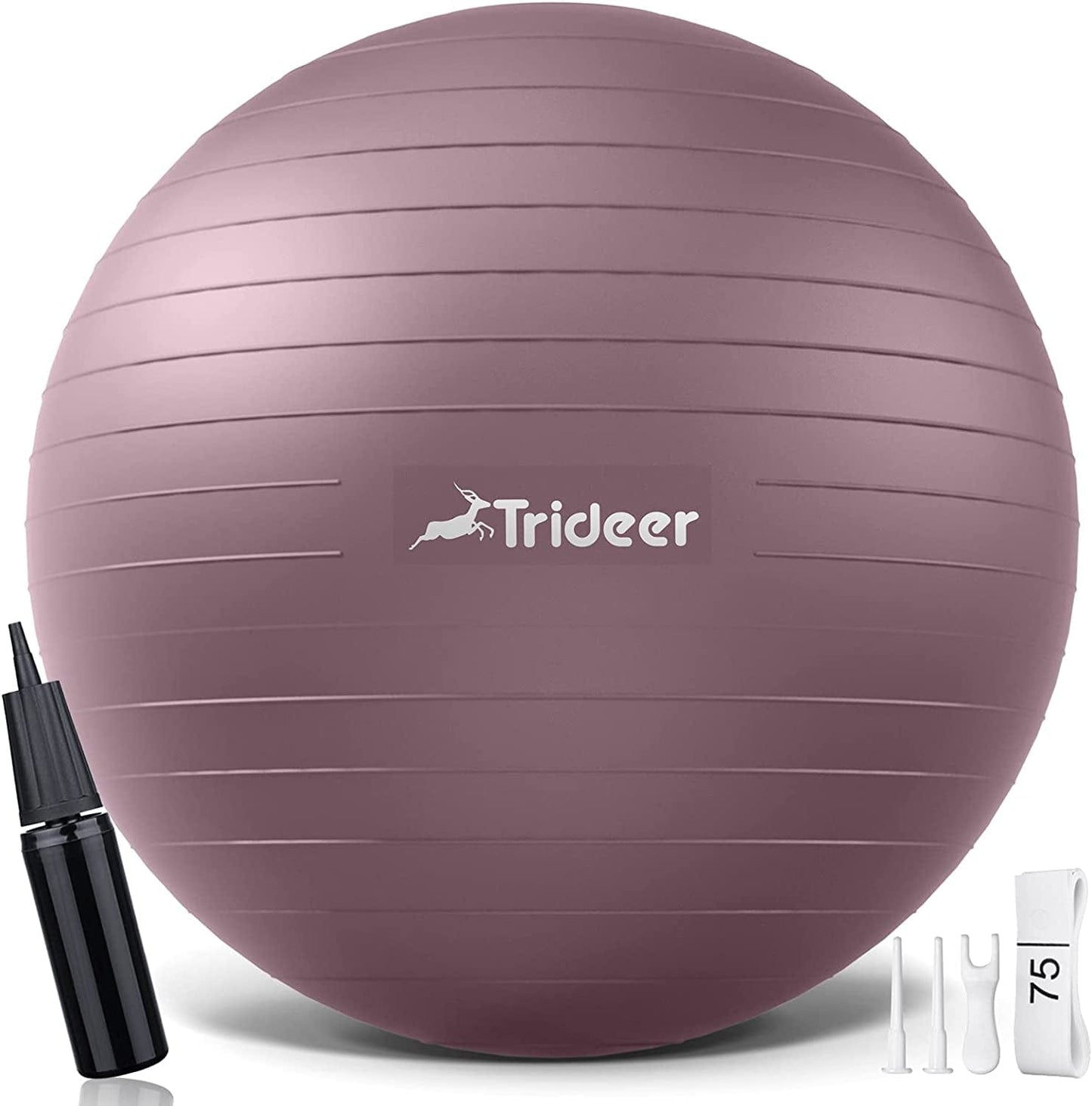 Trideer Exercise Ball, Nature Themed Yoga Ball, Easily Inflated Ball Chair, for Workout, Stability, Balance, Physical Therapy & Pregnancy, Quick Pump Included
